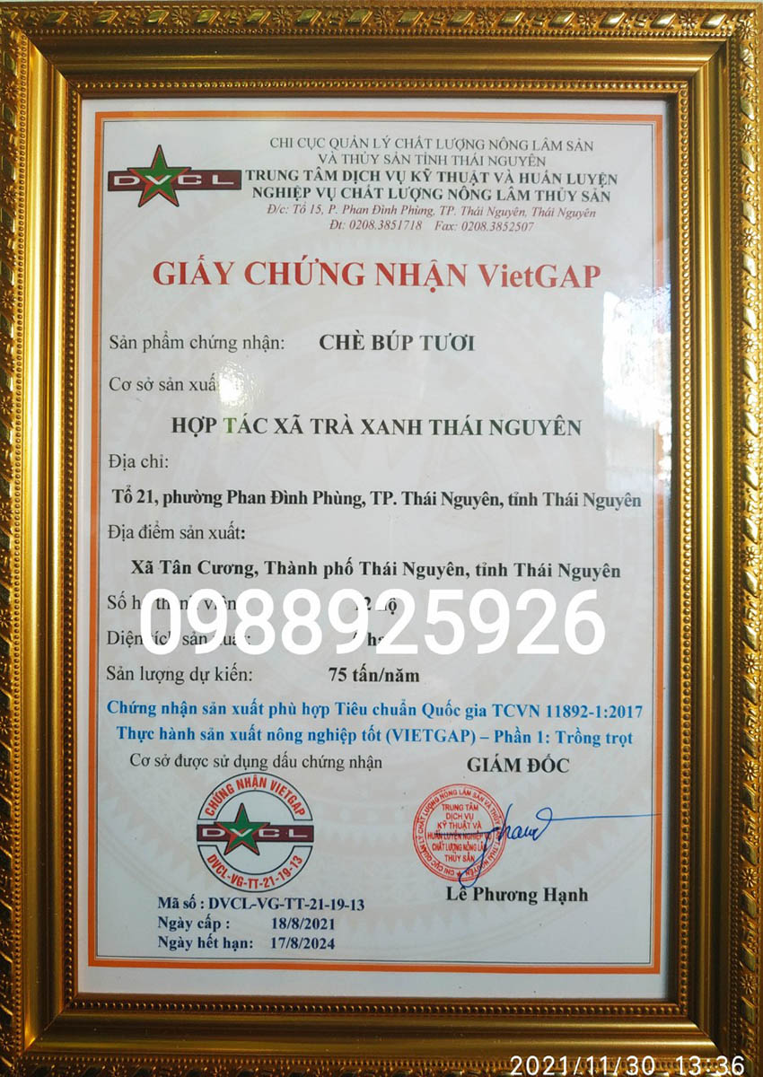 tra-che-tan-cuong-thai-nguyen_3