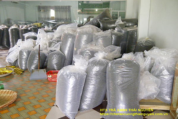 tr_tn_cng_thi_nguyn_8