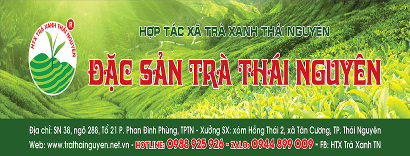 Chè Xanh Thái Nguyên cao cấp Tinh hoa của vùng đất Thái Nguyên