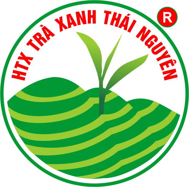 ch_thi_nguyn_logo