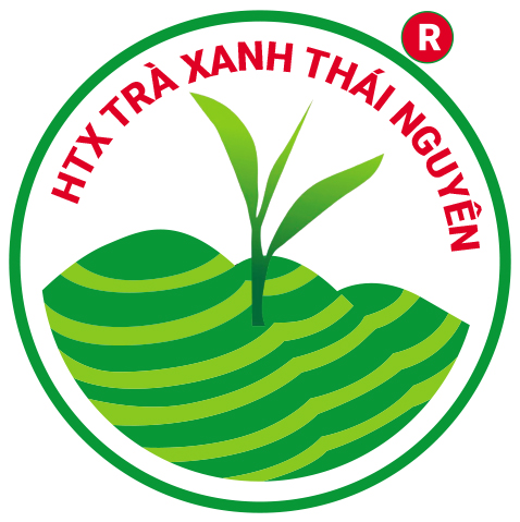 nhan-hieu-tap-the-che-thai-nguyen
