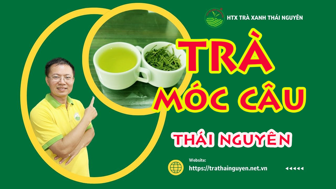 tra_moc_cau_thai_nguyen_10