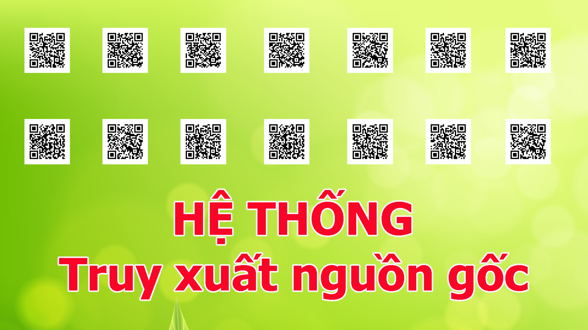 truy_xuat_nguon_goc