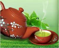 Chè VietGAP- Hướng tới sản xuất an toàn: Bài 2: Cần triển khai nhiều giải pháp đồng bộ