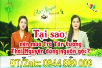 Em ơi trà Thái Nguyên loại nào ngon nhất?