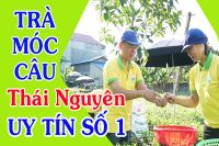 Em ơi chè Thái Nguyên ở đâu ngon nhất?