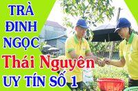 Mua trà Tân Cương hay trà Thái Nguyên cao cấp?