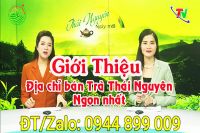 Chè Thái Nguyên cao cấp tại Hà Nội