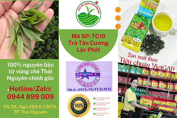 7 Lý Do Trà Đinh Tân Cương Thái Nguyên Được Ưa Chuộng Làm Quà Biếu