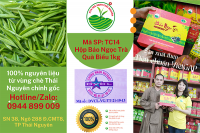 Trà Tân Cương Thái Nguyên giá bao nhiêu tại HCM?