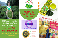 Chè Thái Nguyên ngon nổi tiếng nhất Việt Nam