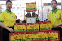 Thông tin về các loại trà ngon