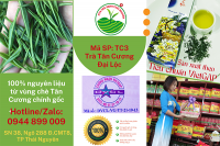 Khẳng định tất cả các loại chè Thái Nguyên đều làm được trà sữa