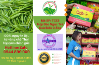 Mua trà đinh thượng hạng, trà đinh Tân Cương ở đâu?