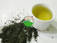 Tìm hiểu giá trà cám tốt nhất hiện nay