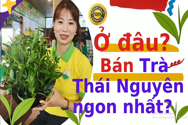 Điều gì khiến Trà Đinh Thái Nguyên khác biệt và độc đáo?