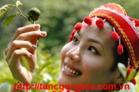 HTX TRÀ XANH THÁI NGUYÊN - Chất lượng sản phẩm quyết định 99% thành công