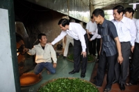 99% khách hàng thích uống trà Tân Cương của HTX TRÀ XANH THÁI NGUYÊN