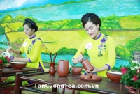 Chè Thái Nguyên được bón phân hữu cơ sẽ cho chất lượng tốt nhất