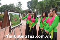 Thái Nguyên quy hoạch khu hành chính tập trung và sân vận động