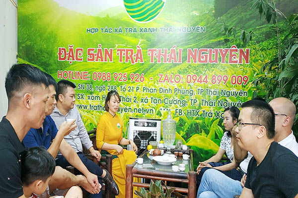 Ai nên thưởng thức trà đinh Tân Cương Thái Nguyên?