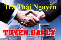 Kế hoạch tuyển Đại lý chè Thái Nguyên tại các tỉnh Miền Bắc 2017