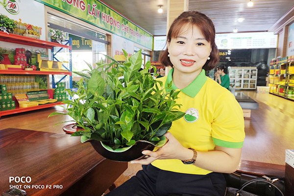 Tại sao phải bảo quản chè tấm, chè cám, các loại trà tấm đinh