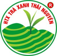 Trà Tân Cương Thái Nguyên giá bao nhiêu và nên mua ở đâu tốt nhất?