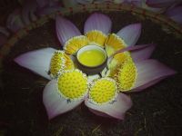 Trà Tân Cương Thái Nguyên ướp sen hồng Hồ Tây