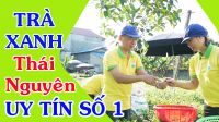 Mua Trà Tân Cương Thái Nguyên loại 1 ở đâu giá 300k 1kg?