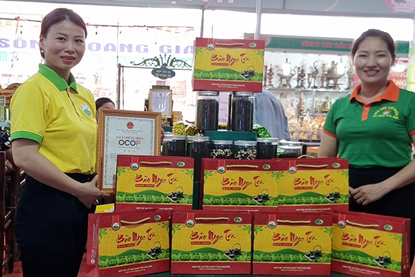 Giá trà Thái Nguyên loại 1 chỉ từ 300.000đ/kg tại Bảo Ngọc Trà