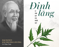 Top 10+ trà đinh lăng táo đỏ Thái Nguyên ngon nhất hiện nay