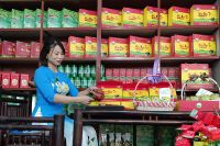 Tác dụng bất ngờ của đặc sản Thái Nguyên đối với sức khỏe con người