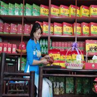 Bật mí 7 công dụng bất ngờ của Trà Đinh Thái Nguyên