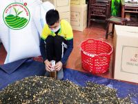 Những điều cần biết về Trà Lài Thái Nguyên từ A đến Z