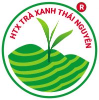 Những tác dụng tuyệt vời của Trà Tân Cương Thái Nguyên