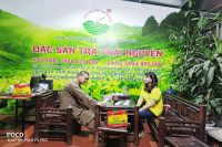 Bật mí 9 bí quyết pha trà móc câu Thái Nguyên đúng chuẩn