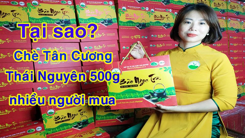 7 Lý Do Trà Đinh Tân Cương Thái Nguyên Được Ưa Chuộng Làm Quà Biếu