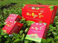 Nhiều mô hình sản xuất chè Thái Nguyên sạch và an toàn