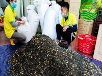 Top 10 thương hiệu trà hương lài ngon nhất 2023: Hương vị tinh tế