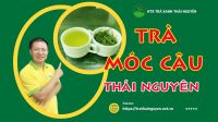 Thương hiệu Trà Móc Câu nổi tiếng tại Thái Nguyên là gì?