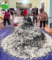 Top 10 lý do Trà Nhài được yêu thích trong khẩu vị người Việt