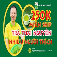 Top 7 Loại Chè Thái Nguyên Ngon Nổi Tiếng Được Ưa Chuộng Nhất