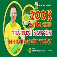 Bảng giá chè Thái Nguyên 2024: Top 10 loại chè ngon