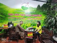 Cách nhận biết trà Nõn Tôm chính gốc và trà giả như thế nào?