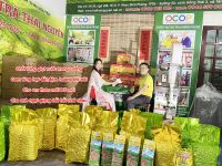 7 Lợi Ích Sức Khỏe Từ Trà Tân Cương Thái Nguyên