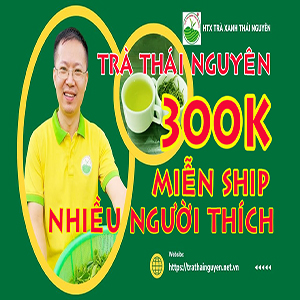 Nguồn gốc và lịch sử 100 năm phát triển của Trà Thái Nguyên