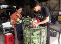 Cách đặt bánh chưng Thái Nguyên online an toàn, nhanh chóng