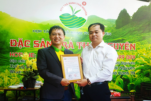 Sao Để Biết Trà Đinh Thái Nguyên  Mình Mua Có Đạt Chuẩn VietGAP Không?