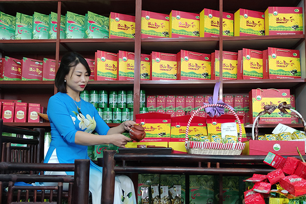 Hé lộ cách bảo quản trà bắc thái nguyên giữ trọn hương vị.